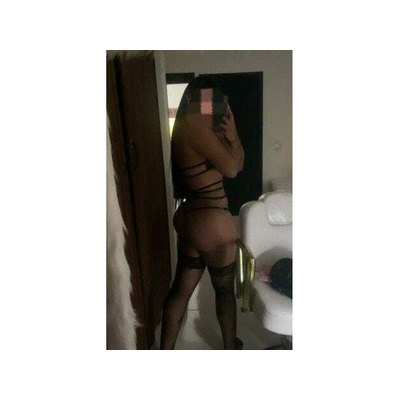 TU PERRA CHUPA HUEVOS