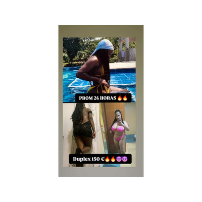 ZORRILLAS DESESPERADAS POR POLLAS DURAS