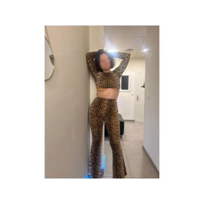 GATITAS EN ELDA PARA TI