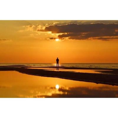 BOY ACOMPAÑANTE DE LUJO PARA MUJERES