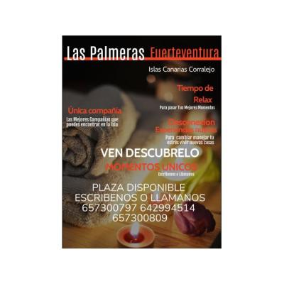 PLAZA DISPONIBLE PARA TI ALTOS INGRESOS