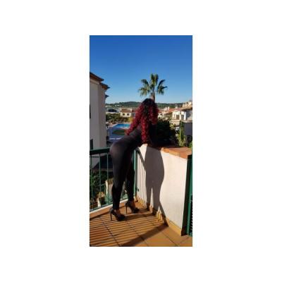 Aries mulata veterana