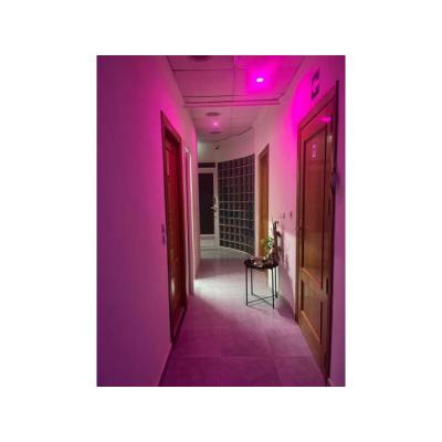 PLAZA DISPONIBLE EN ALZIRA ALTOS INGRESOS!!