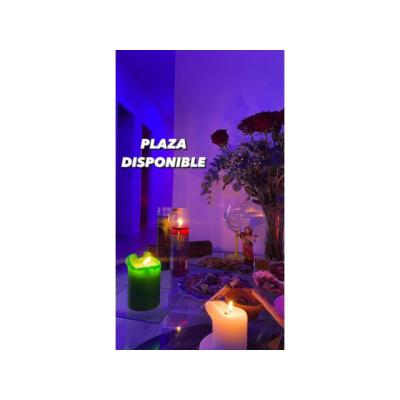 PLAZA LIBRE EXCELENTES INGRESOS !