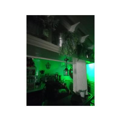 Plaza exclusivo Almería necesita Chicas
