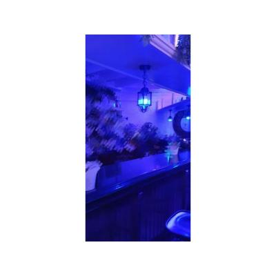 Necesitamos CHICAS PARA PLAZA