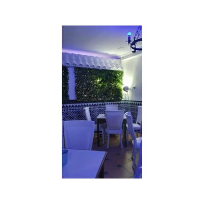 Necesitamos CHICAS PARA PLAZA