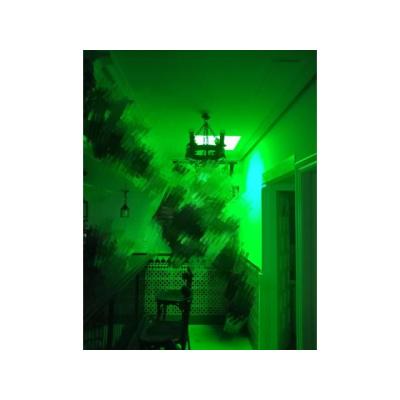 Necesitamos CHICAS PARA PLAZA