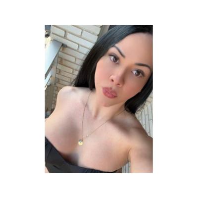 PALOMA  Novedad Latina VIP Trato Único