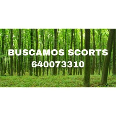 TURNO SOLAMENTEDE 10-19 HORAS.