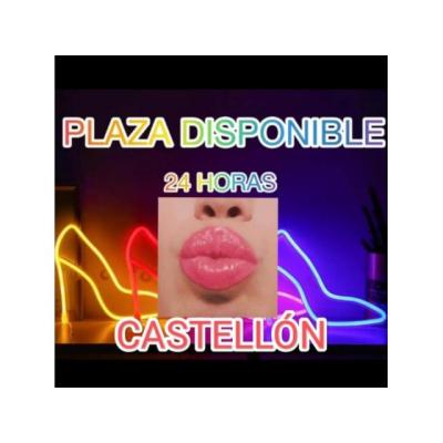 LA MEJOR PLAZA, CLIENTELA FIJA.