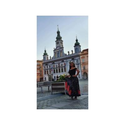 nueva asiatica marbella centro