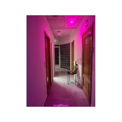 PLAZA DISPONIBLE  ALTOS INGRESOS!!