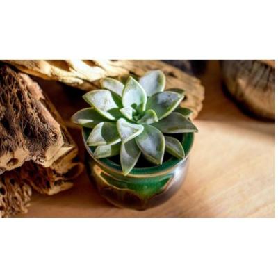 Sitio para trabajar por tu cuenta