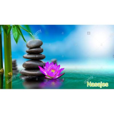 Gabinete particular de masajes