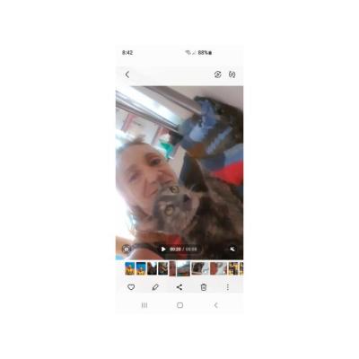 Musculada Mujer española