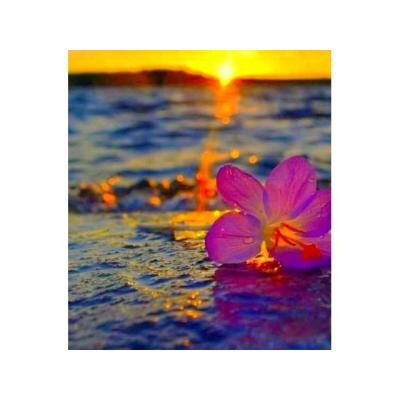 Masajes Saioa 613 21 43 63