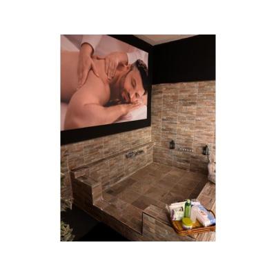 UN ENCLAVE DE PLACER EN EL CENTRO DE MADRID