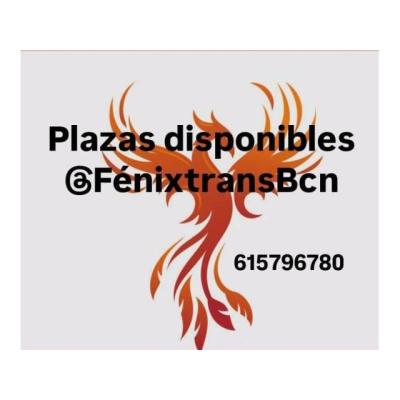 PLAZAS PARA MASAJISTA