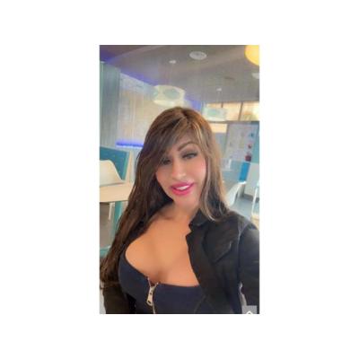 TRANS 17 CM TE TRATO COMO MI PERRO