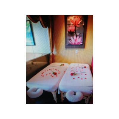 SEAQUILA, AVITACION. MOMETOS, INTIMO