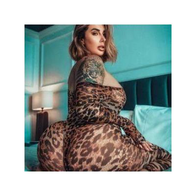 . . . . contenido multimedia . . . . . . .