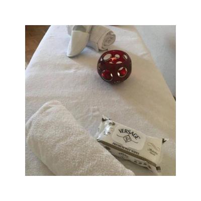 DESCUBRE A SANDRA TRANS TU HERMOSA MASAJISTA