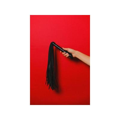 AMA MINERVA  HERMOSA MUJER ESPAÑOLA