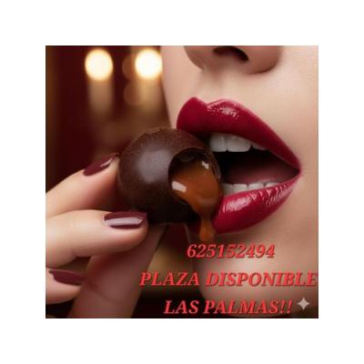 PLAZA LIBRE EN LAS PALMAS Y SUR