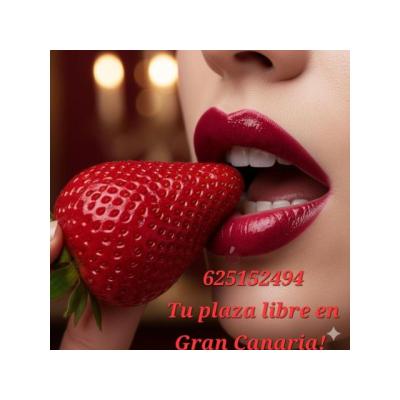 PLAZA LIBRE EN LAS PALMAS Y SUR