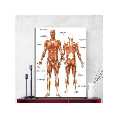 Masajes Terapéuticos mas final feliz