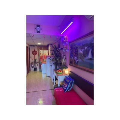 bellas masajistas chinas.