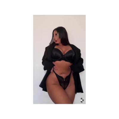 Andrea amorosa latina