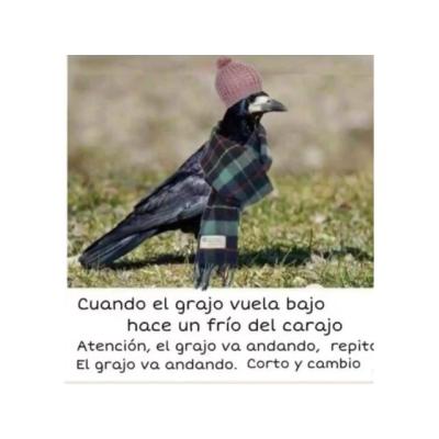 Casado maduro busca chica