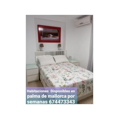 ELEGANTE ESTANCIA EN PALMA