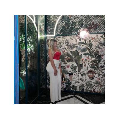 AMOR EN LINEA/ NOVIA VIRTUAL/ CHICA SOLTERA