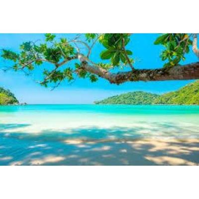 divociada, cadiz centro