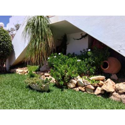 Desi nueva madura ardiente