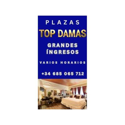 GRAN CLIENTELA, PLAZA DE LUJO