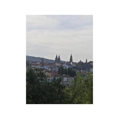 Brasileño novidad bien dotado