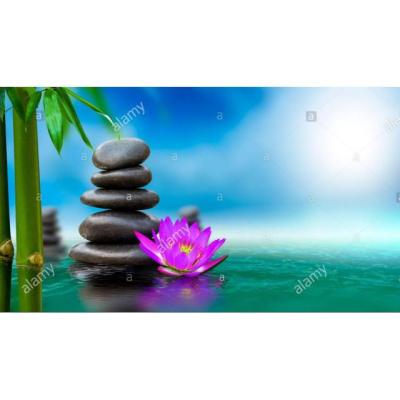 Saioa relax 613 21 43 63