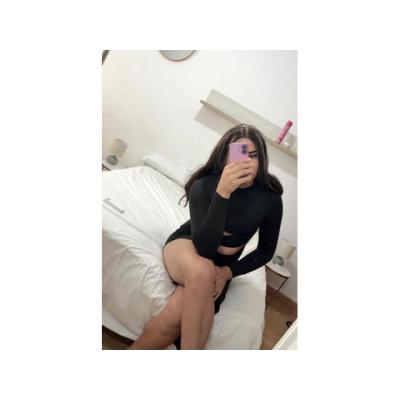 TRANS COLOMBIANA VERSATIL NOVEDAD