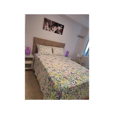 HABITACION LIBRE EN PALMA 24H