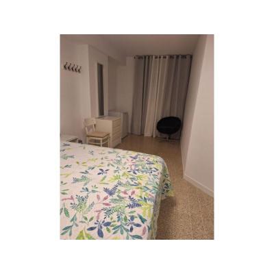 HABITACION LIBRE EN PALMA 24H