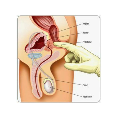 Masajes eroticos y sexuales